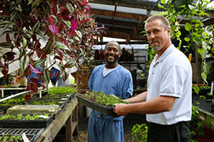 Sustainability V4 Img2