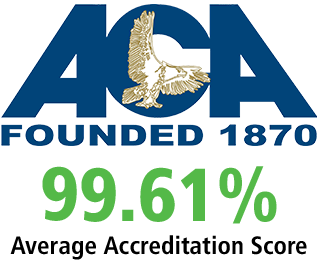 Aca Website Score (1)